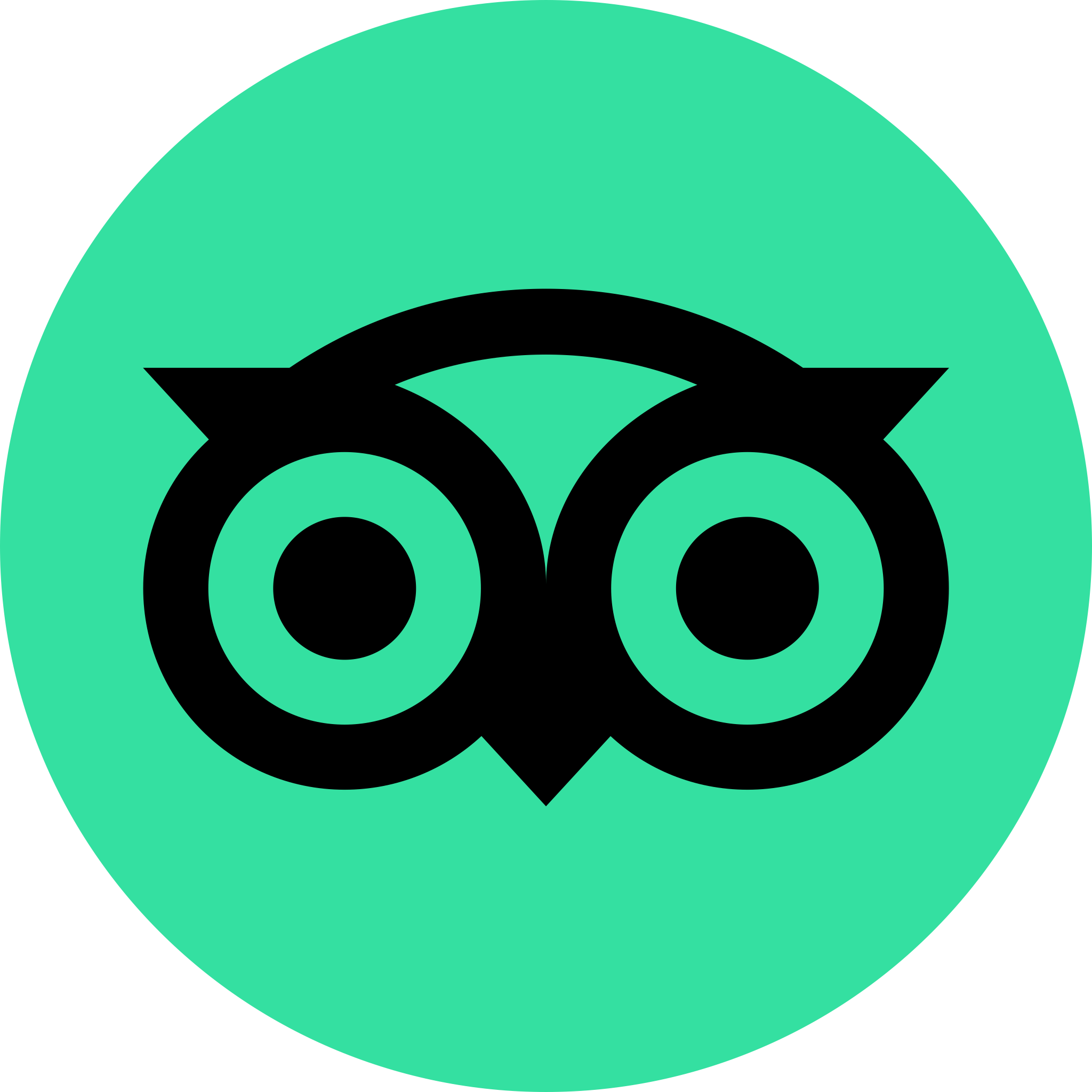 Tripadvisor